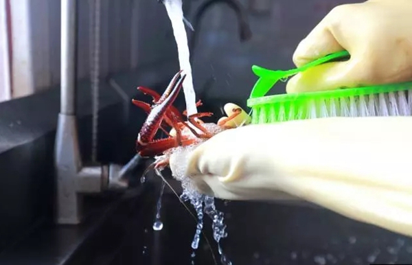 小龍蝦vs火鍋，誰(shuí)才是餐飲界扛把子？